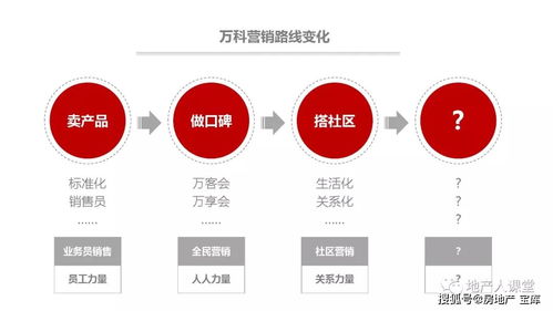 社群营销的方法、技巧与实践 从策划到落地的全链路指南