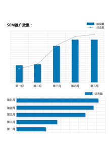 品牌型客户案例保时捷 网络营销策划案例 上海曼朗策划整合营销公司