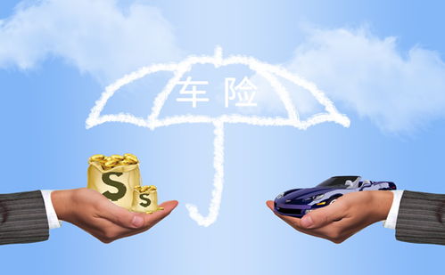 保险产品营销策划方案 策略与执行要点