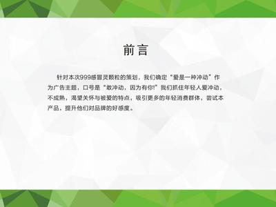 999感冒灵营销策划案ppt